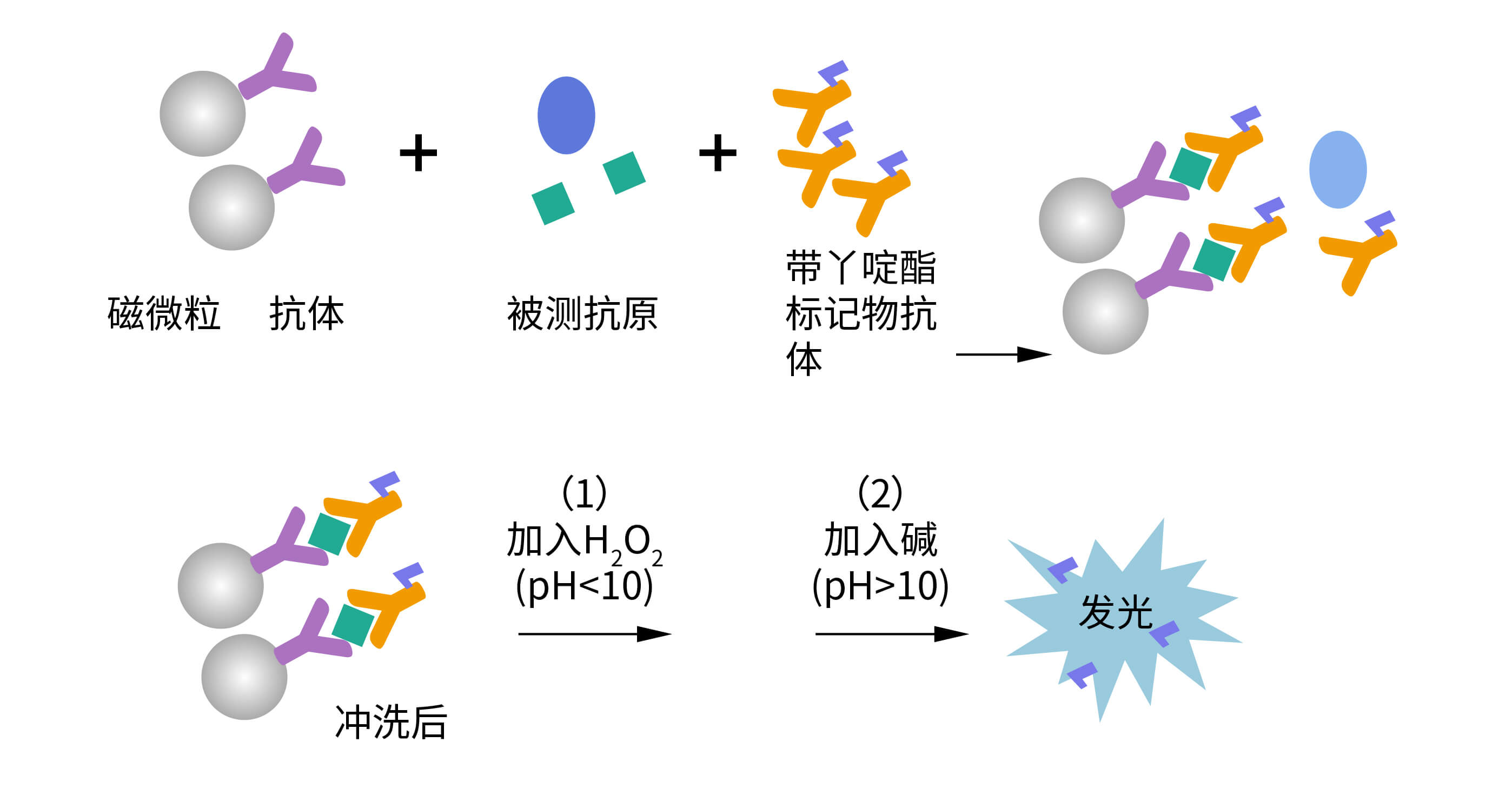 化學發(fā)光檢測平臺